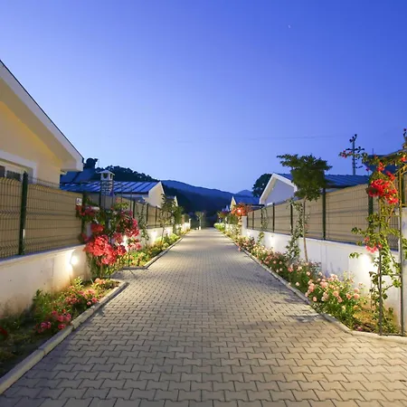 Talia Villalari Fethiye