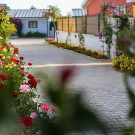 Talia Villalari Villa