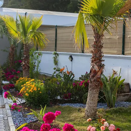 Talia Villalari Villa Fethiye