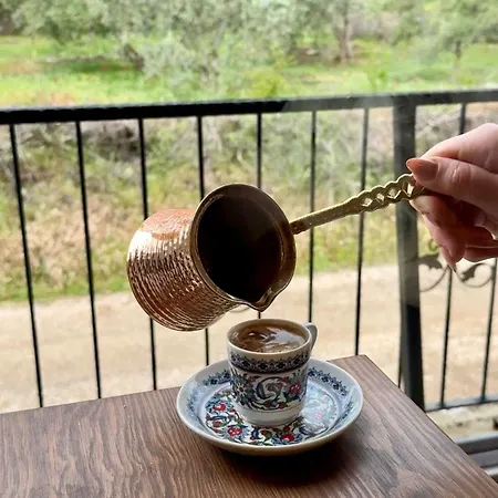 Talia Villalari Fethiye