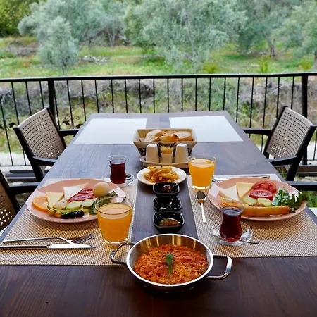 Villa Talia Villalari *